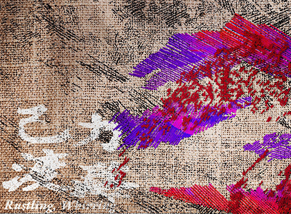 布拉瑞揚舞團《己力渡路》